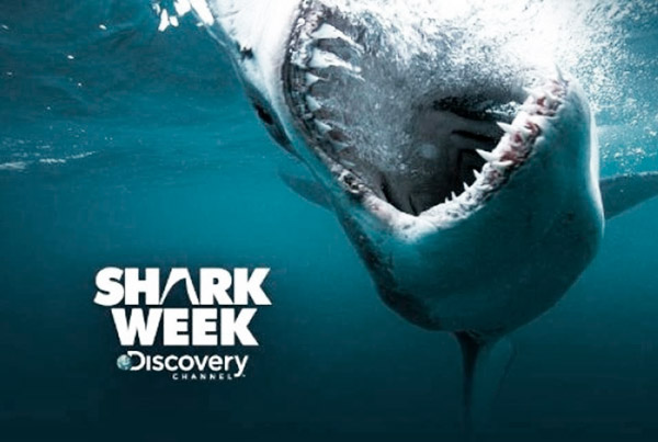 Sharkweek